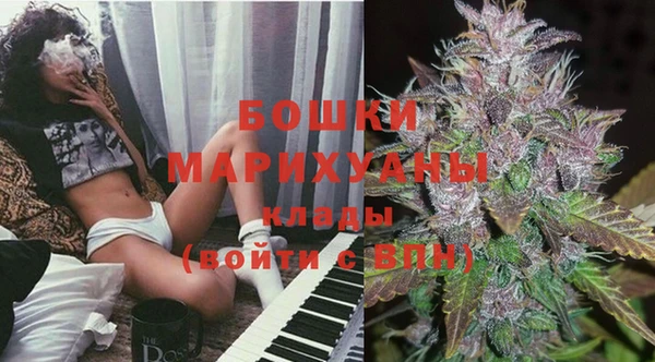 индика Зеленокумск