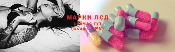 стафф Аркадак